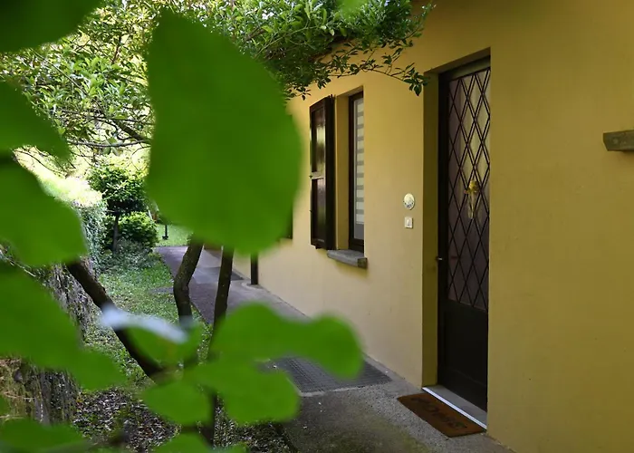 Apartament Open Space Fronte *
