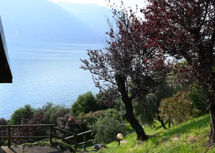 Apartament Open Space Fronte *